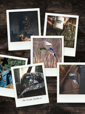 Wright Collection Drake Mallard Polaroid Collage