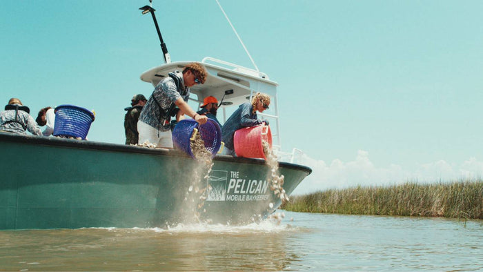 Mobile Baykeeper Oyster Restoration Project