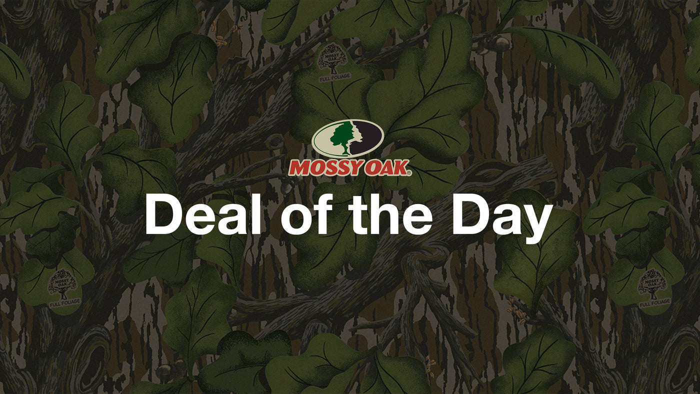 Deal of the Day