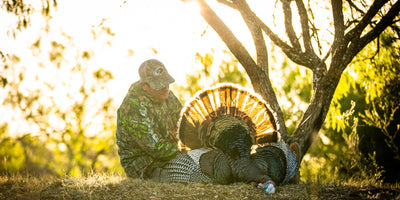 Spring Obsession Sale