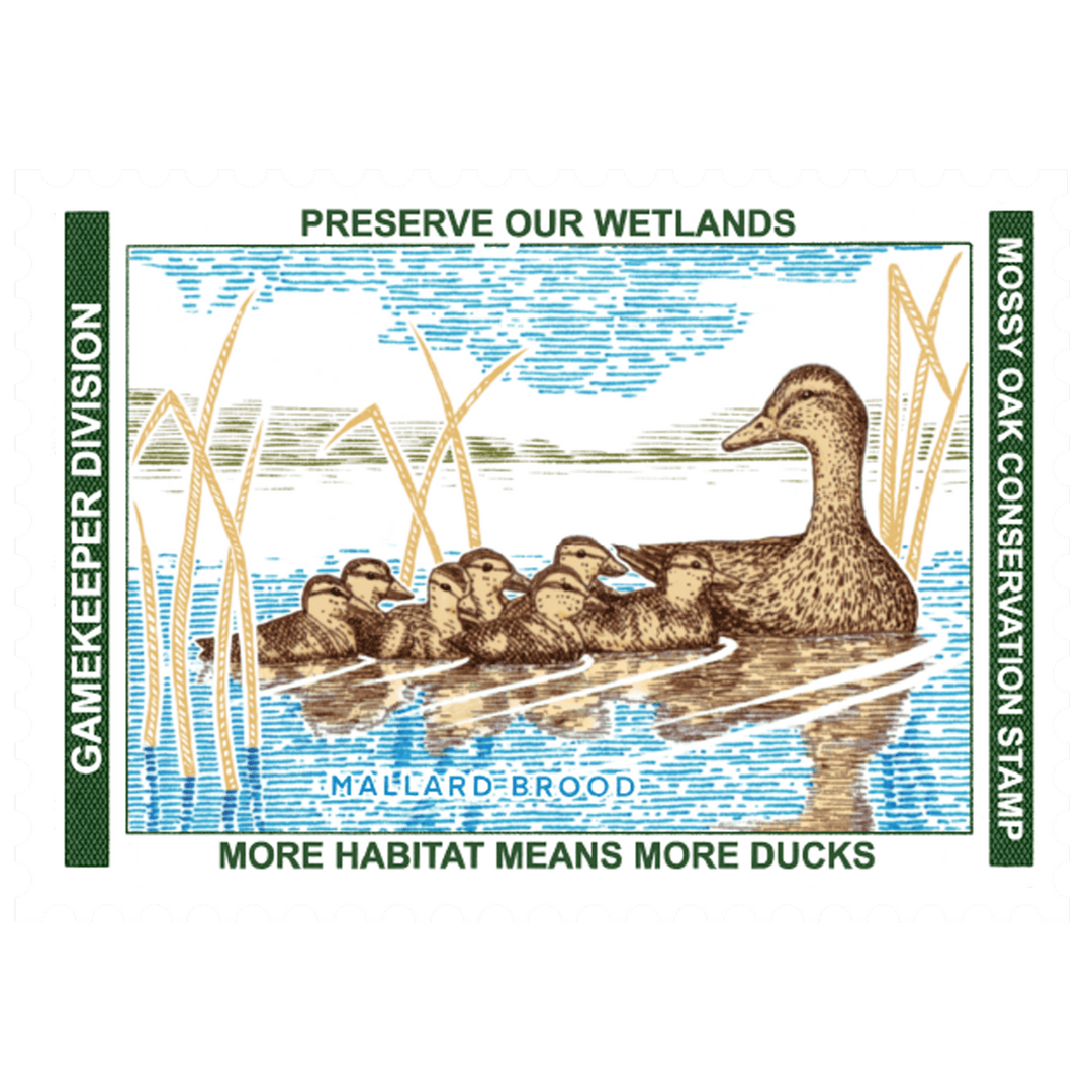 邦楽 Blahrmy Duck's Moss Village dlip record 邦楽 Blahrmy Duck's