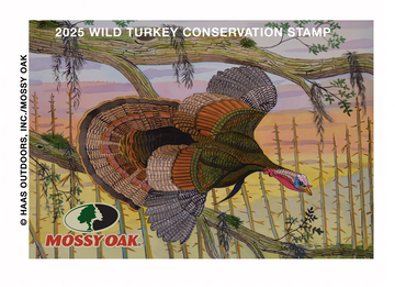 2025 Turkey Stamp