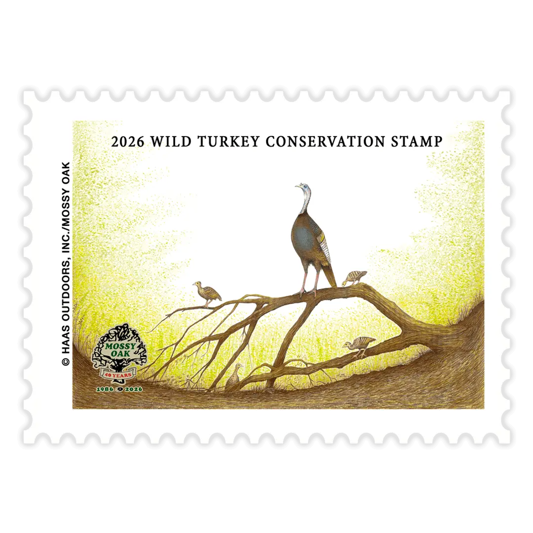 Mossy Oak Mossy Oak Watchful Eye — product image