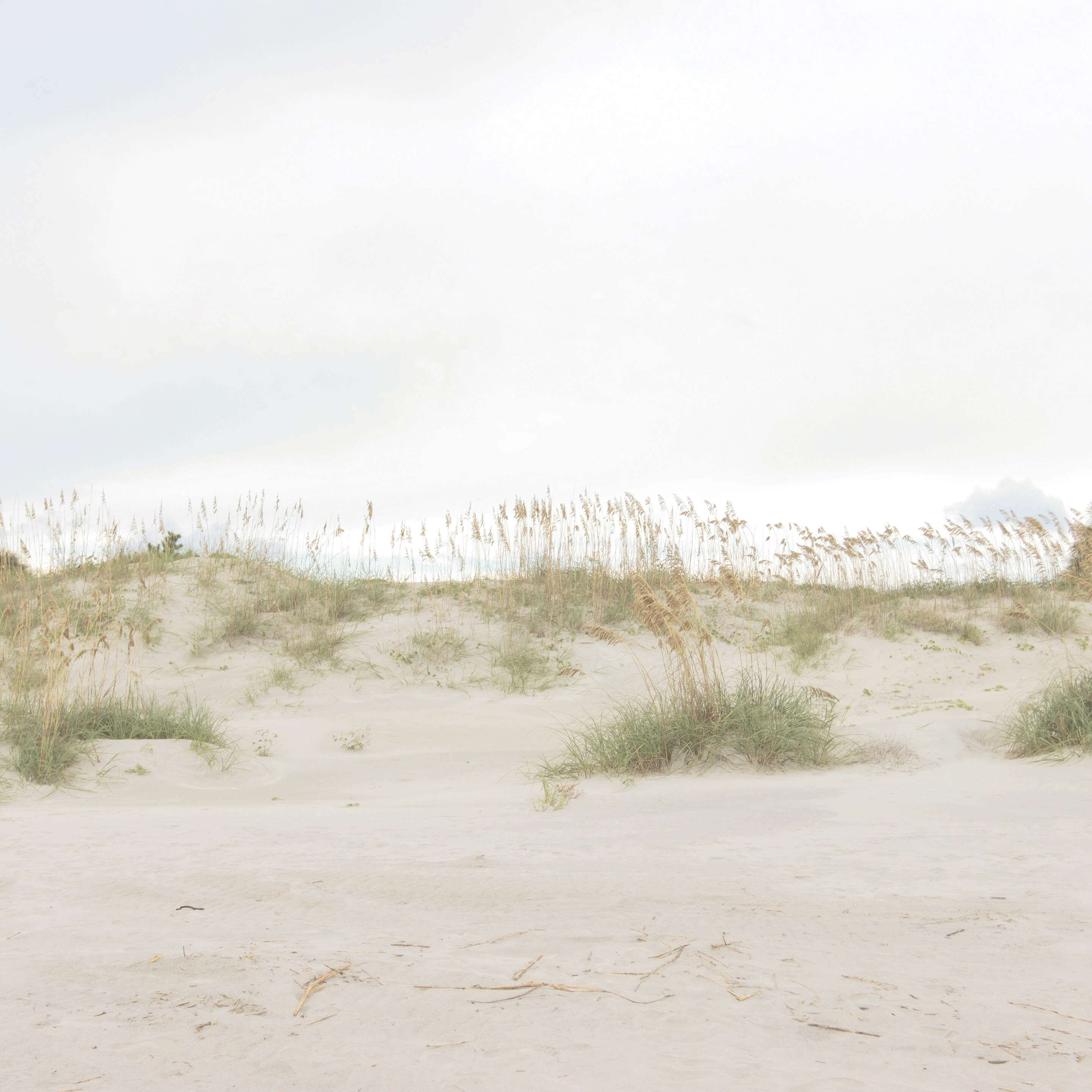Sand dunes with grasses and a clear sky