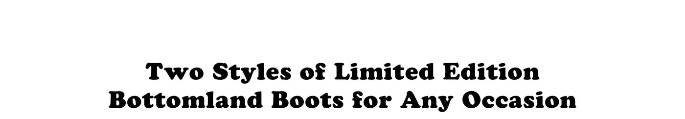 Desktop Two Styles of Bottomland boots x Tecovas