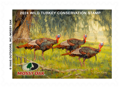 Mossy Oak 2024 Wild Turkey Conservation Stamp 