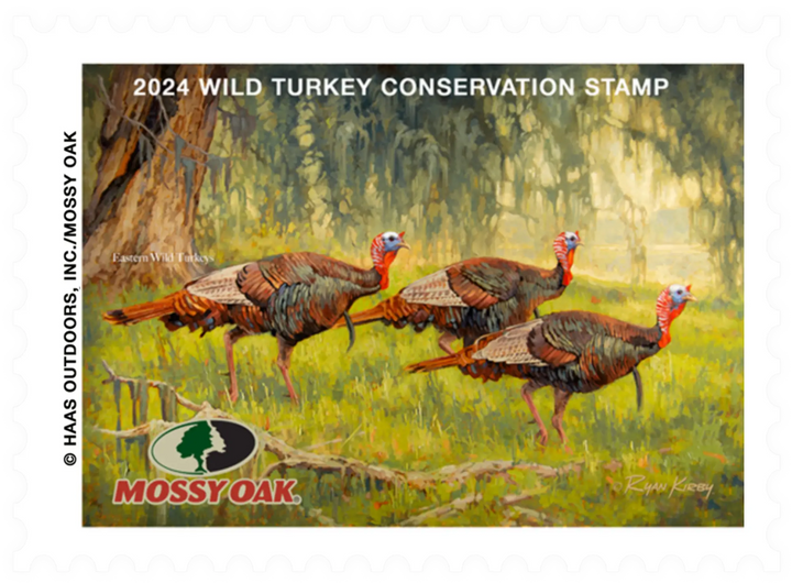 TurekyStamp24_720x.webp?v=