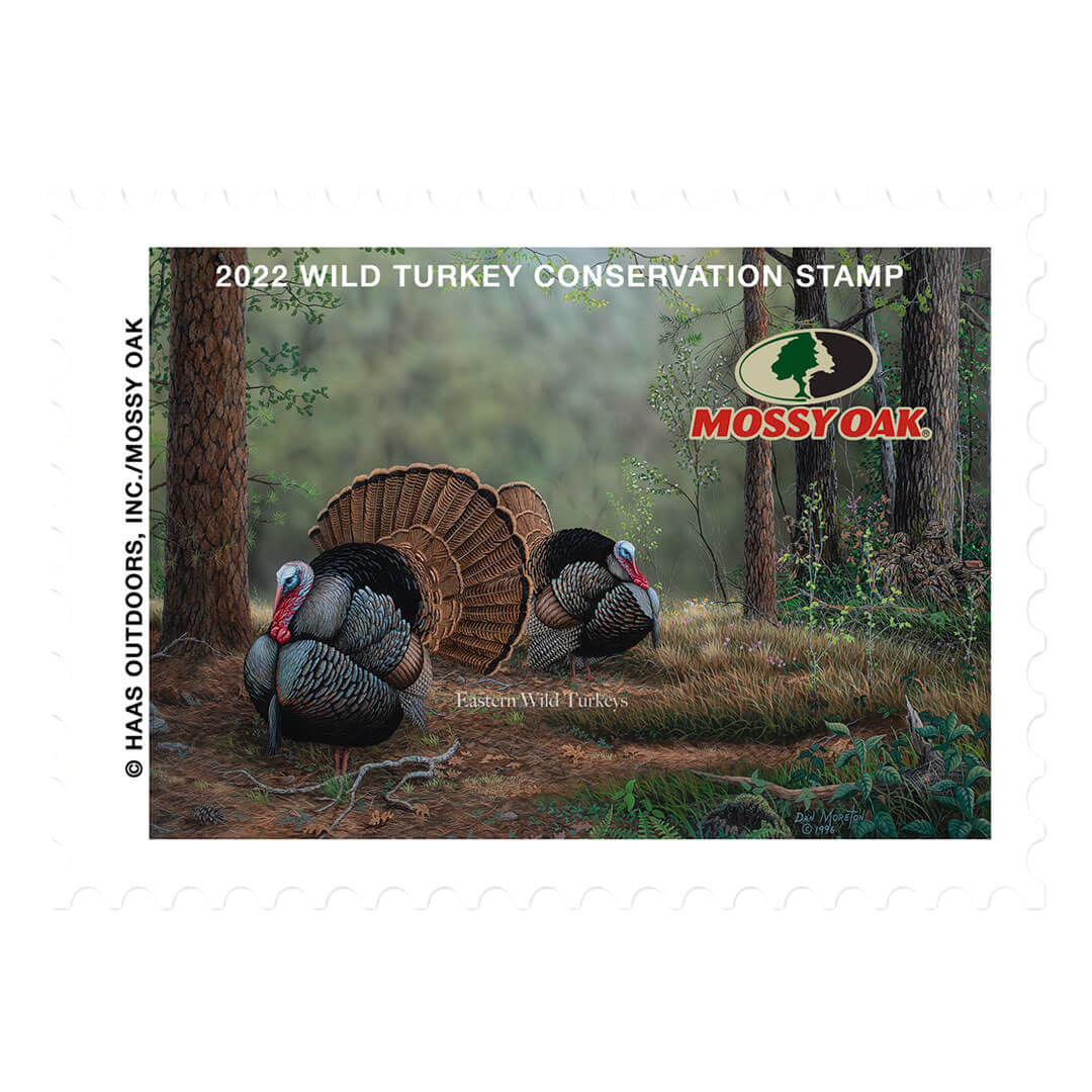 2022 Wild Turkey Stamp