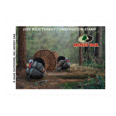 2022 Wild Turkey Stamp