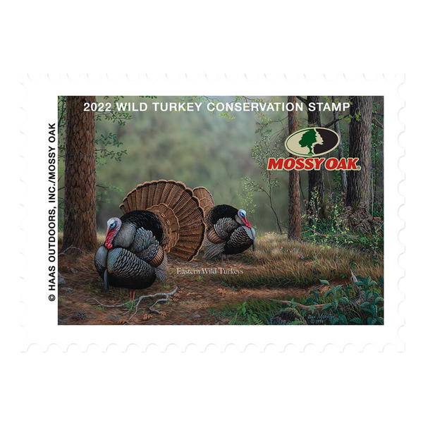 2022 Wild Turkey Stamp – The Mossy Oak Store